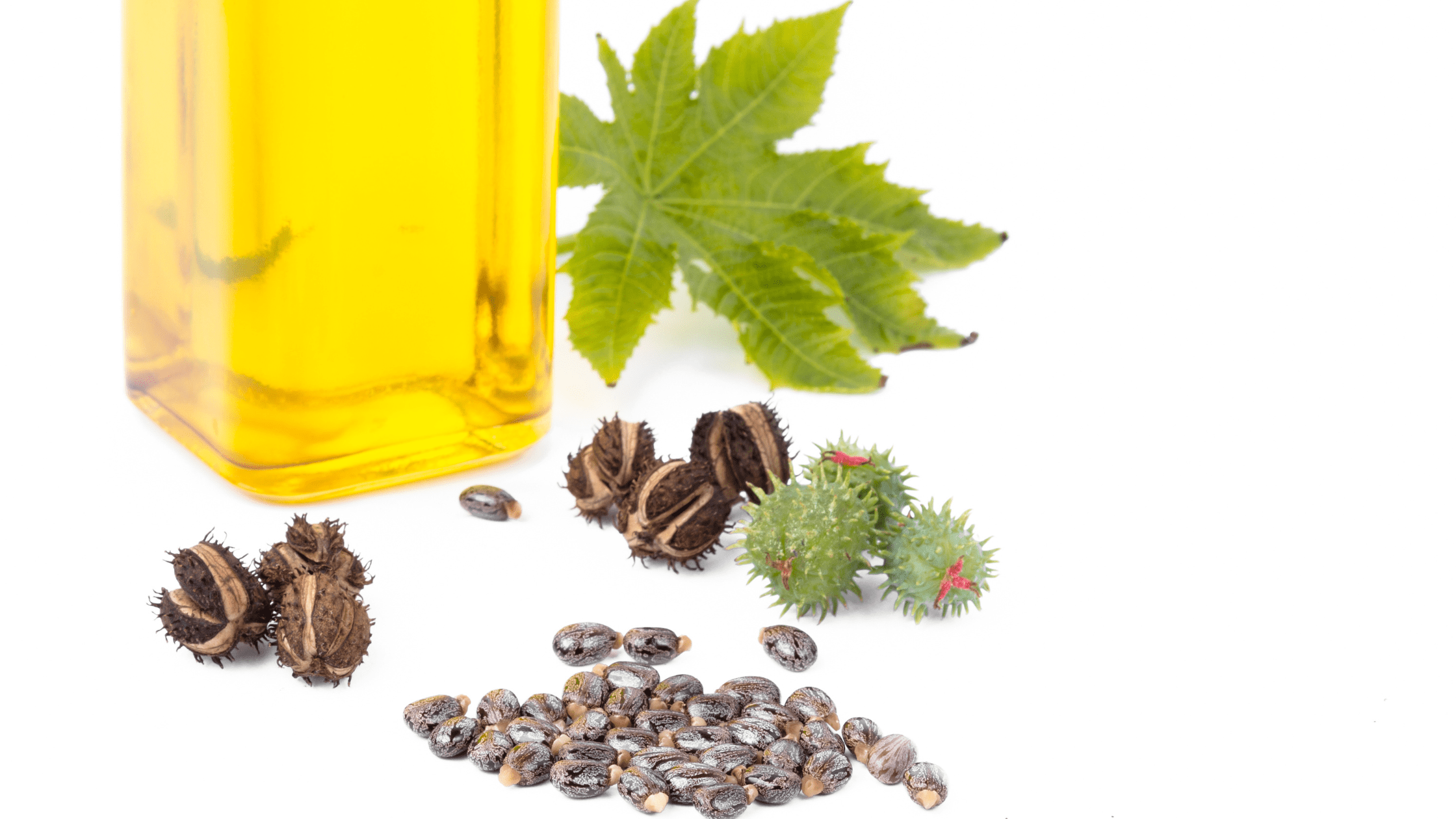 Clearing Toxins: Using Castor Oil to Help Your Kids 